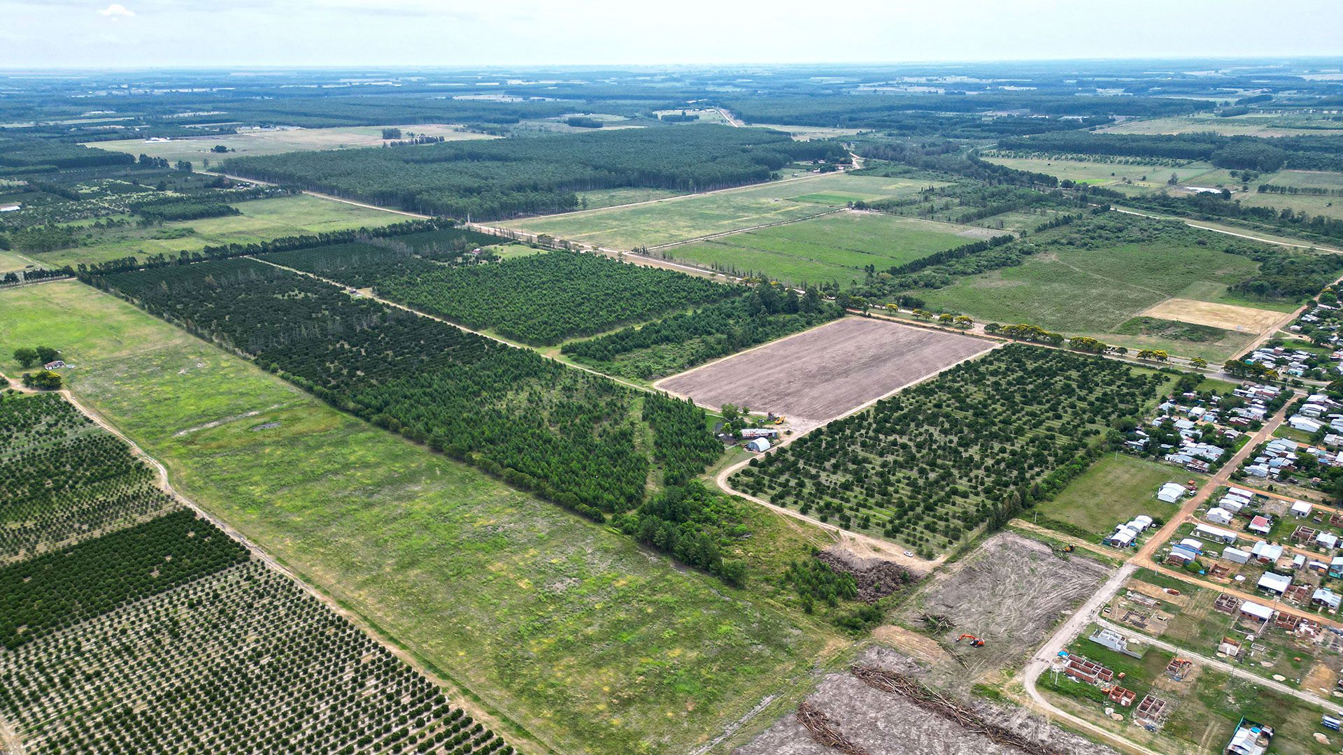 L´Orangerie vista aérea
